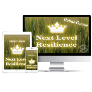 Next Level Resilience Course